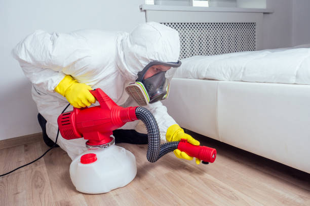 Professional Pest Control in Turnersville, NJ