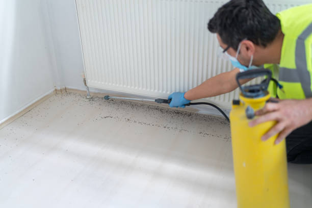 Best Affordable Pest Control Services  in Turnersville, NJ