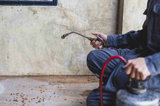 Best Best Pest Control Companies  in Turnersville, NJ
